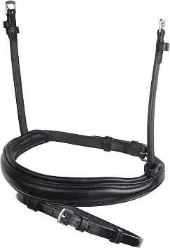Collegiate Mono Crown Flash Noseb Size Black