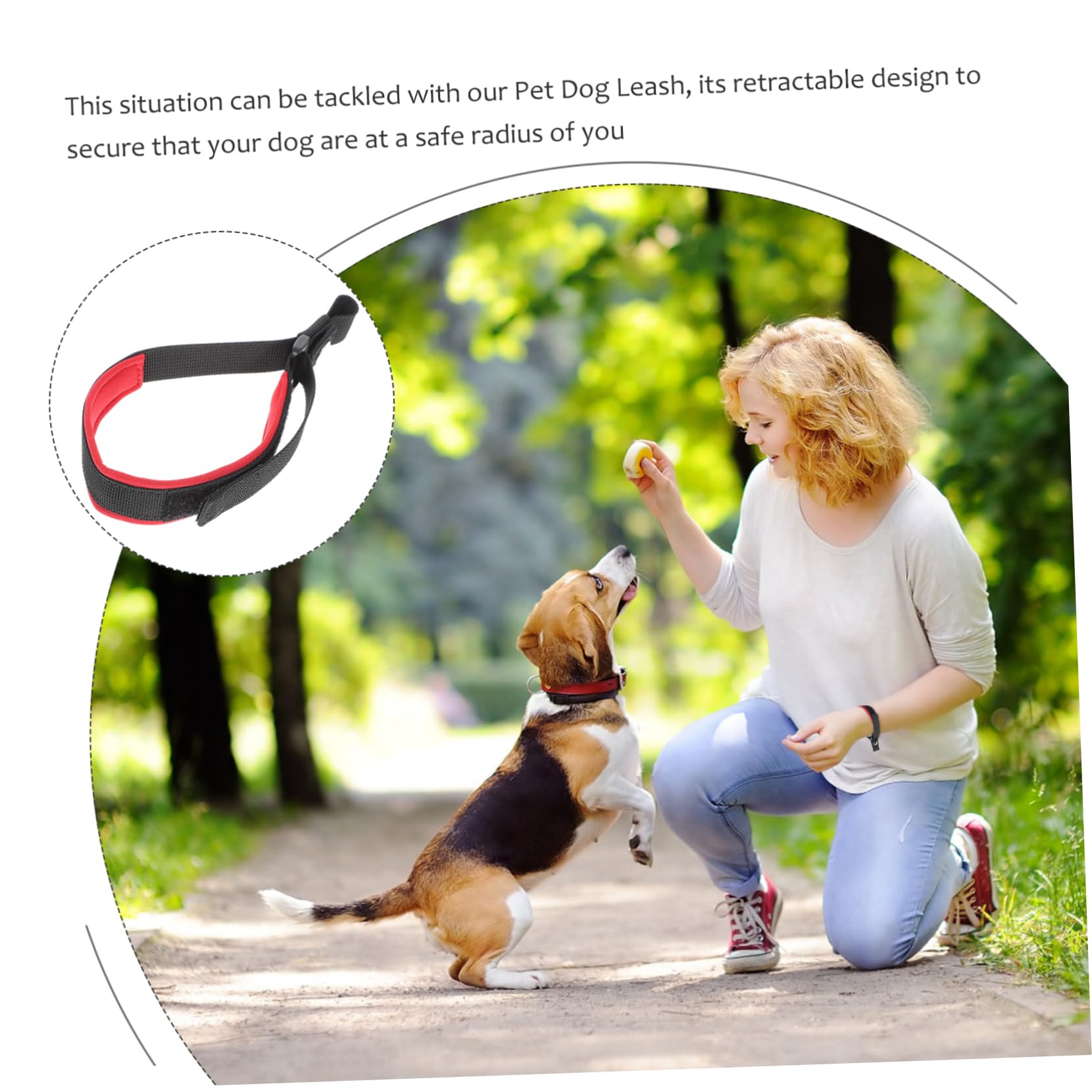 POPETPOP 4 Pezzi Per Cani Per Cuccioli Guinzaglio Multiuso Per Passeggiate Guinzaglio Per Addestramento Animali Domestici Forte Allaperto Comodo Per Cani Corda