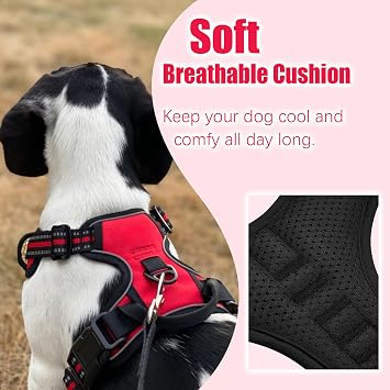 Dog Harness and Lead Set for Small Dogs Adjustable Reflective Anti Pull Pet Vest Harness for Outdoor Walking Training, Red, Small
