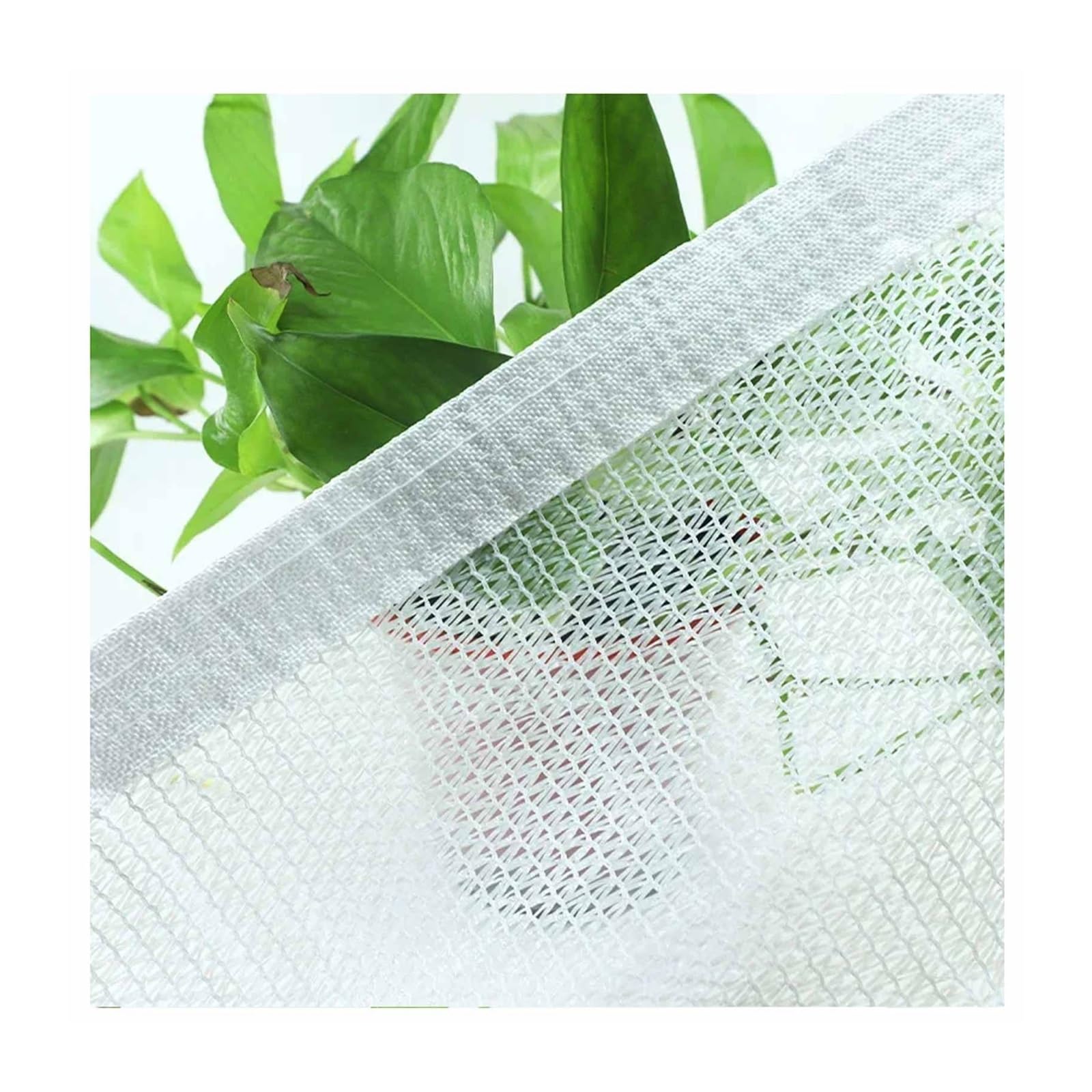 GJZQDKX White Shade Net UV Resistant 50% Sun Protection Shade Cloth for Greenhouse & Plants Available in 2x2m 2x 3x4m & 5x8m Sizes Ideal for Flowers & Animal Kennels