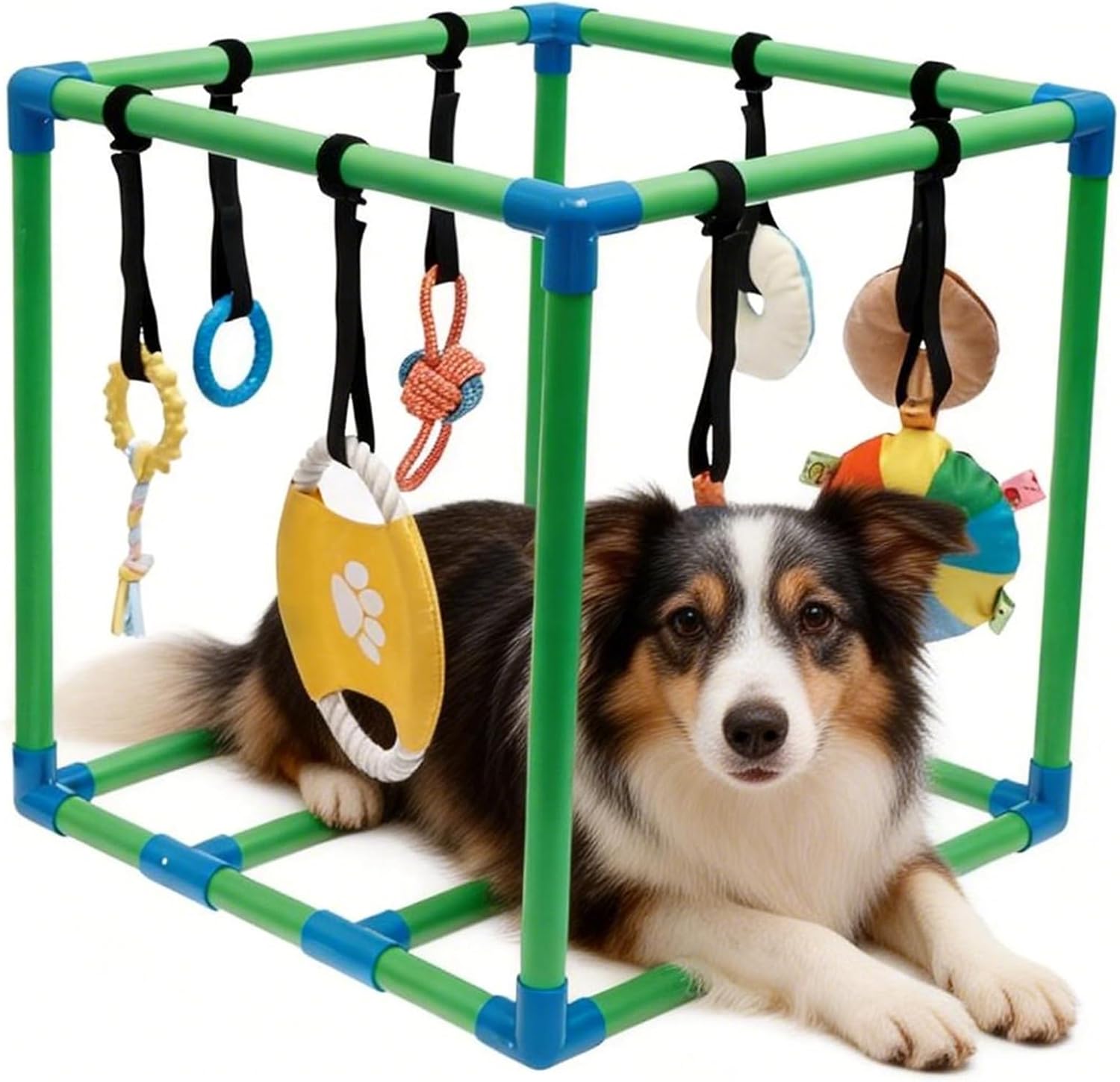 Puppy Play Gym with 8 Hanging Toys, Small Dogs Indoor Jungle Gym, PVC Frame with Adjustable Bungee Straps, Interactive Enrichment Activity Center for Puppies, Teething & Mental Stimulation
