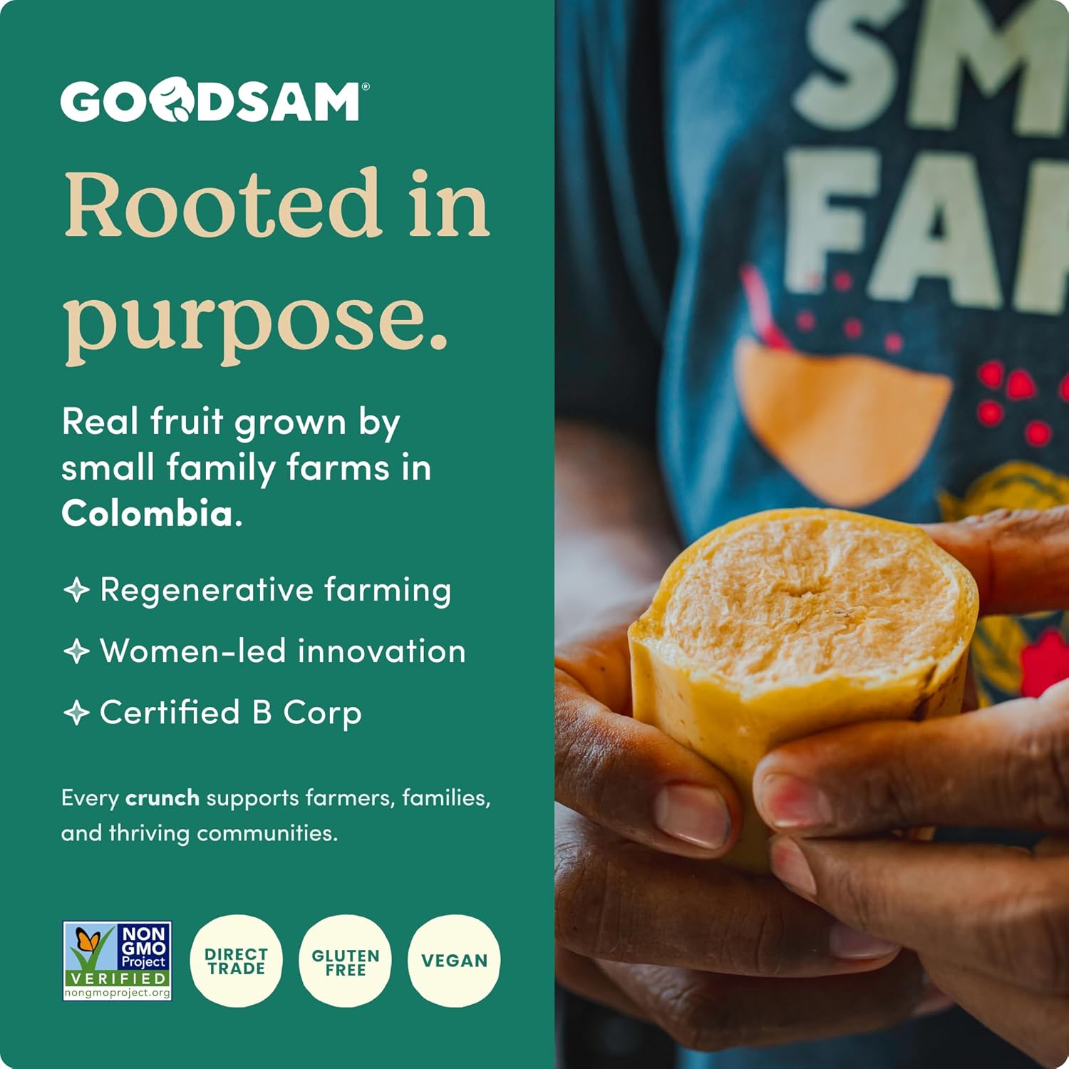 GoodSAM Small Farms Baked Sweet Plantain Chips, Pack of 16 Simple Ingredient Fruit Chips