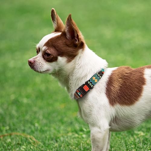 Miniatura 3 de CollarDirect Collar de perro de nailon con hebilla tribal patrón cachorro ajustable collares para perros pequeño mediano grande