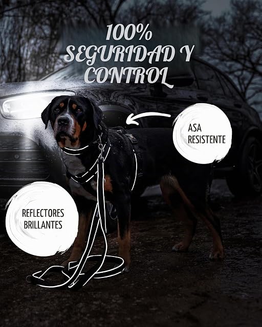 Foto 4 de 6 de Rudelkönig Arnés para Perro Paola - Acolchado Reflectante con Asa