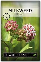 Sow Right Seeds - Showy Milkweed Seeds for Planting - Attract Monarch and Other Butterflies to Your Garden - Non-GMO Heirloom Seeds with Instructions to Grow - Perennial Plant for Pollinators (1)