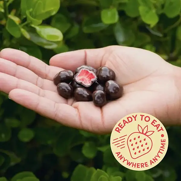 Tru Fru Freeze Dried Strawberries in White & Dark Chocolate, Chocolate Covered Fruit, Freeze Dried Fruit and Gluten Free Candy, Non-GMO & Kosher Sweet, Perfect for Travel & On the Go (3.4oz) 3 Pack 3