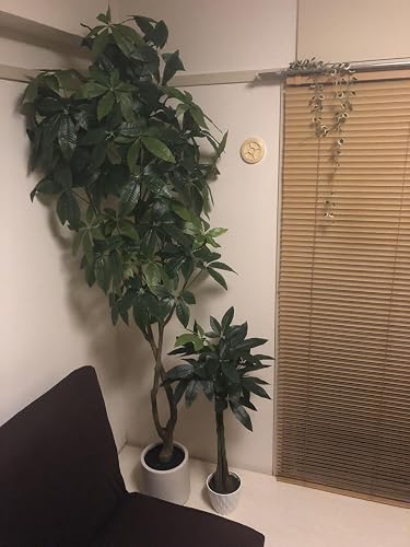 Amazon｜三栄コーポレーション 人工観葉植物 光触媒 フェイクグリーン
