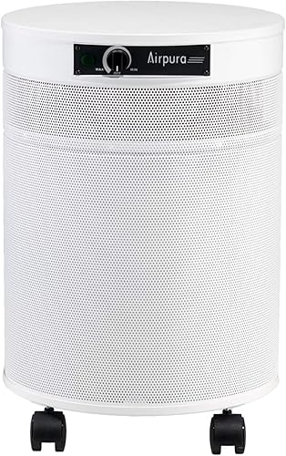 AIRPURA EL PURIFICADOR DE AIRE C600DLX AYUDA A ELEMINAR PARTÍCULAS ESPECÍFICAS TRANSPORTADAS EN EL AIRE INCLUYENDO COMPUESTOS ORGÁNICOS VOLÁTILES Y