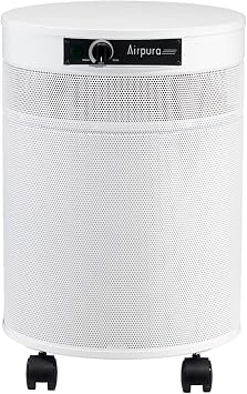 AIRPURA C600DLX AIR PURIFIER HELPS TO ELEMINATE SPECIFIC AIRBORNE PARTICLES INCLUDING VOLATILE ORGANIC COMPOUNDS,IMPROVE AIR QUALITY