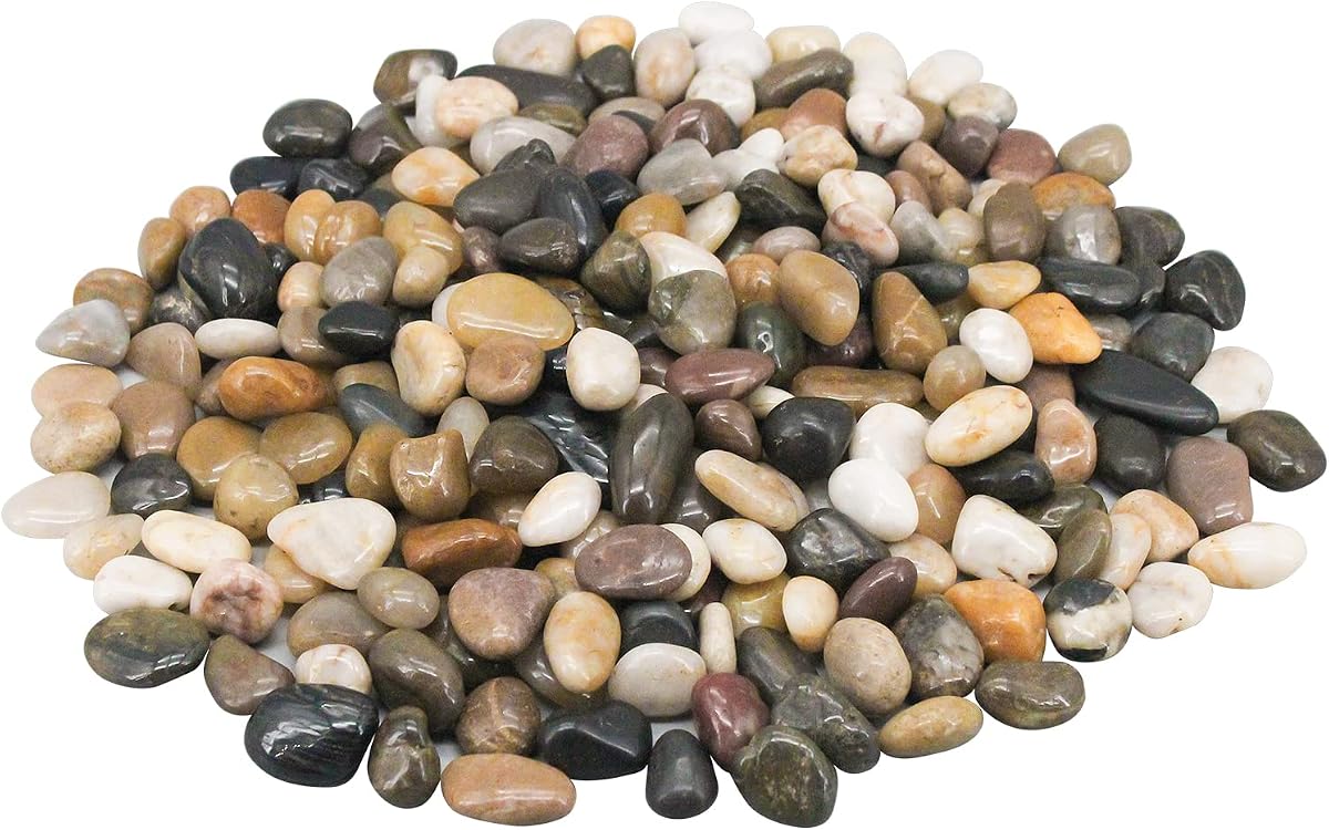 Rocas decorativas para plantas en macetas, rocas de río, guijarros ornamentales decorativos | Piedras de paisajismo para jardín, relleno de grava para decoración del hogar, cama de flores, pecera, plantas, jarrones, suculentas (5 libras)