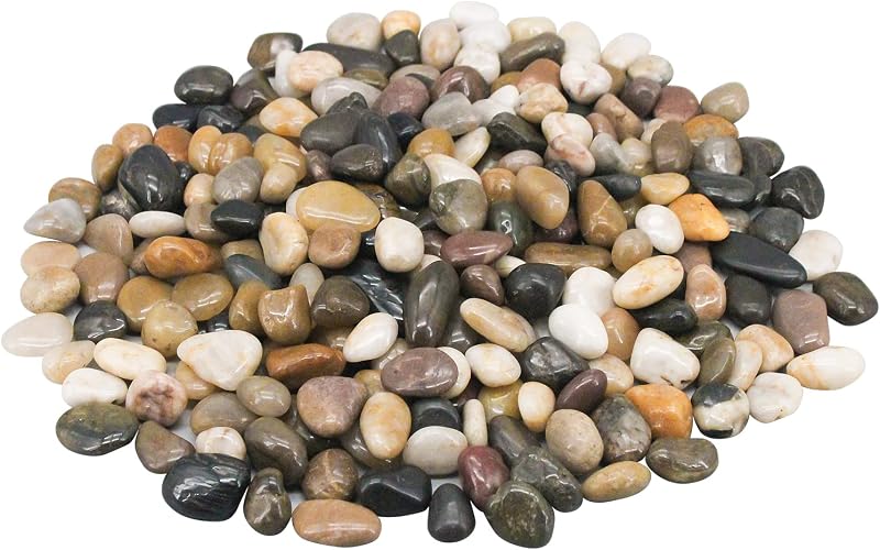 Rocas decorativas para plantas en macetas, rocas de río, guijarros ornamentales decorativos | Piedras de paisajismo para jardín, relleno de grava para decoración del hogar, cama de flores, pecera, plantas, jarrones, suculentas (5 libras)