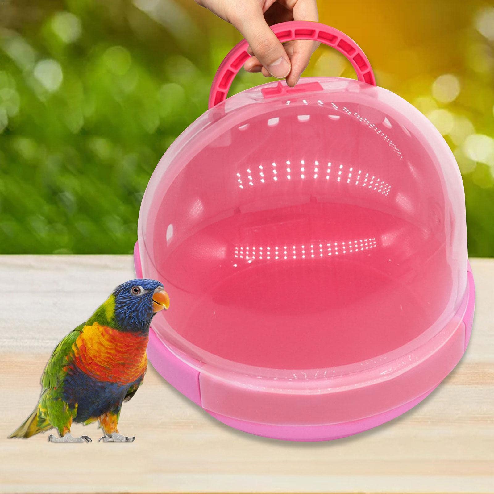 Amazon | インコ キャリー 文鳥 鳥かご 通院 小鳥 ケージ お出かけ