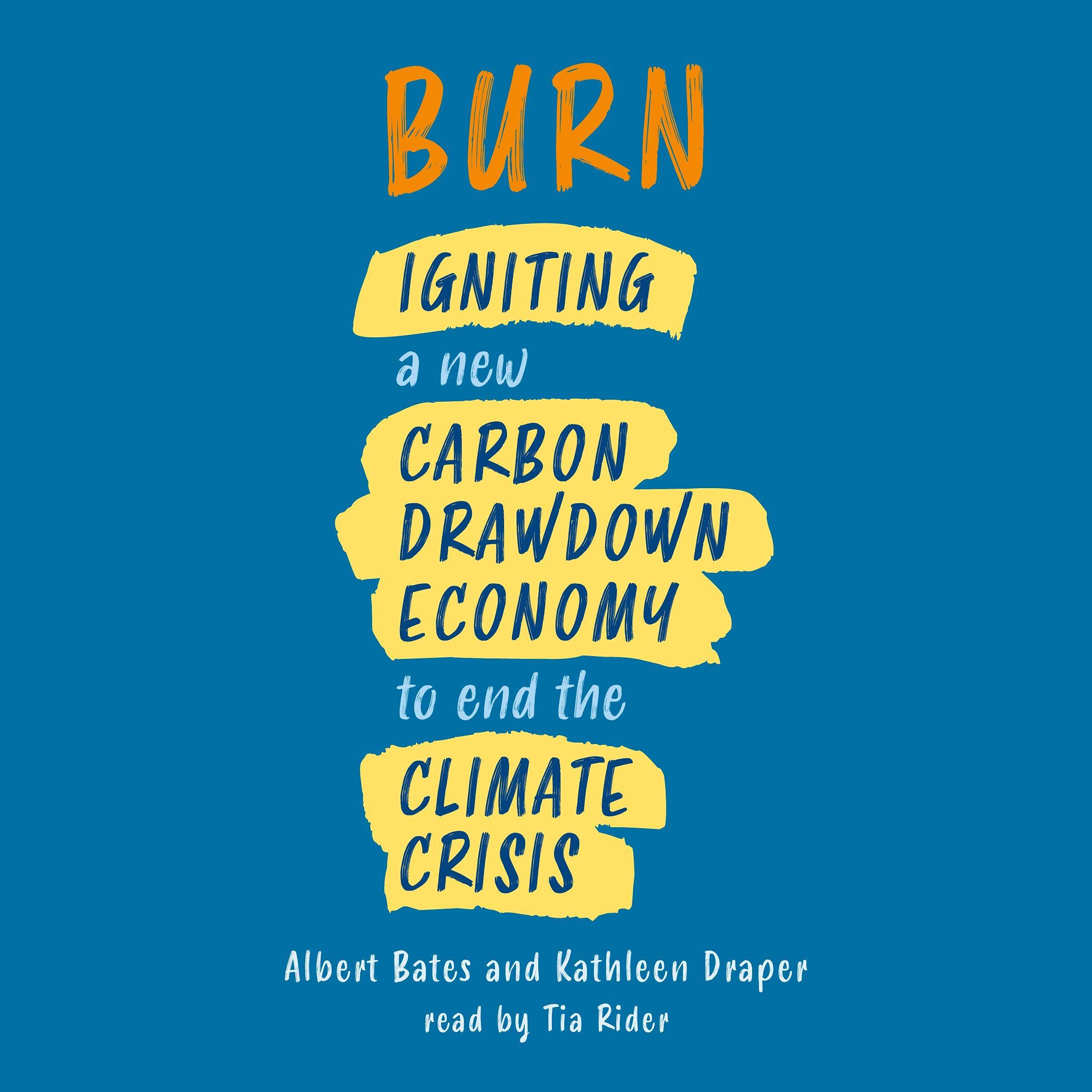 Cover art for Burn