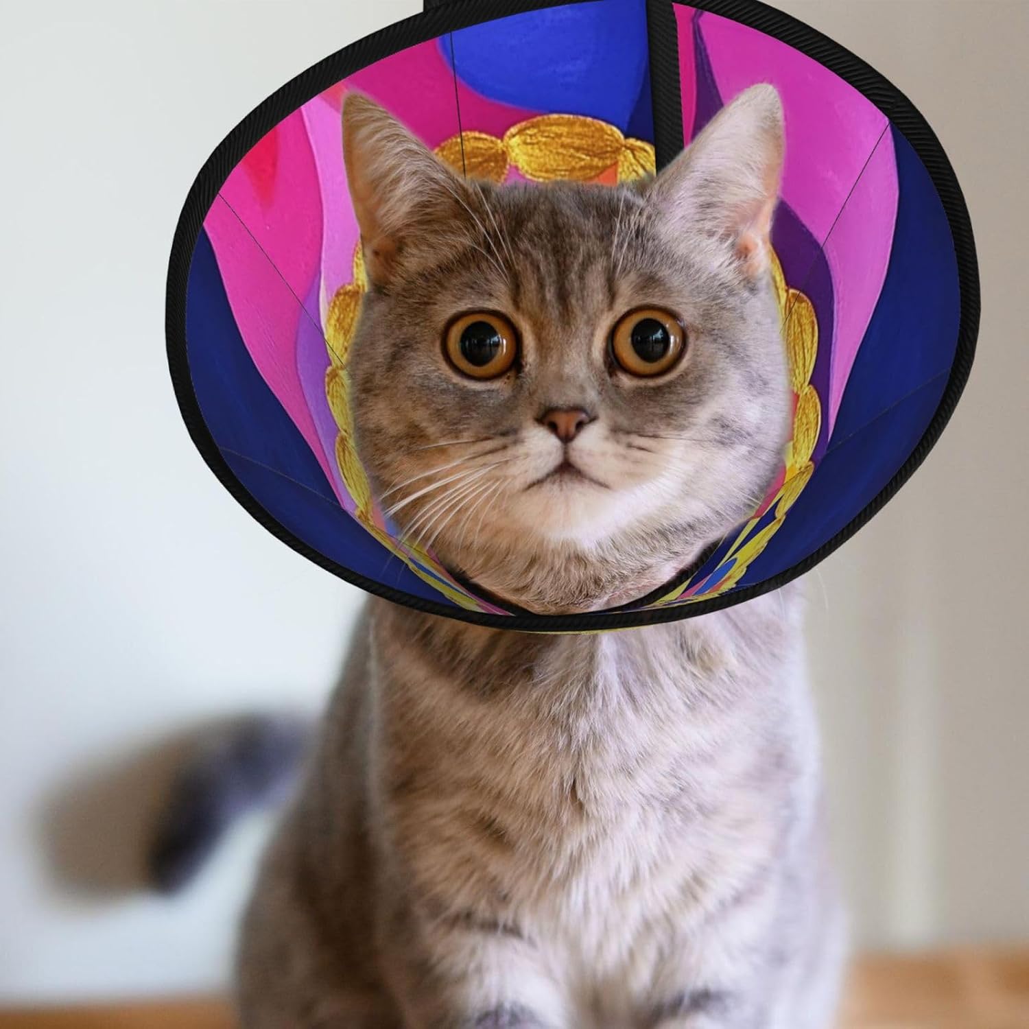 Custom Pet Cones - Unique Design Cat & Dog Cone, Collar for Post-Surgery Recovery, Adjustable Neck Crown and Robe Large