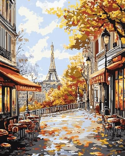 AxiangziK Cross Stitch Kits for Adults 16x20in,Paris Cityscape Stamped Cross Stitching Ornament Kits for Beginners,Counted Embroidery Needlepoint Home Decor Gift