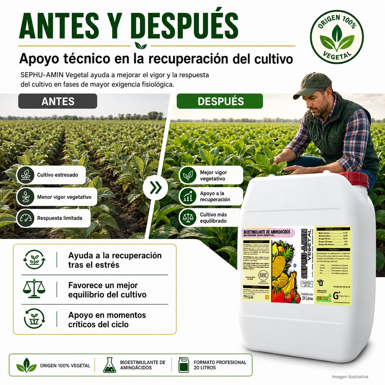 SEPHU Bioestimulante de Aminoácidos 100% Vegetal para tus plantas y cultivos potenciando su enraizamiento, 20 Litro, Certificado Agricultura Ecológica, Mejora Crecimiento y Resistencia