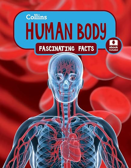 Collins ff - human body