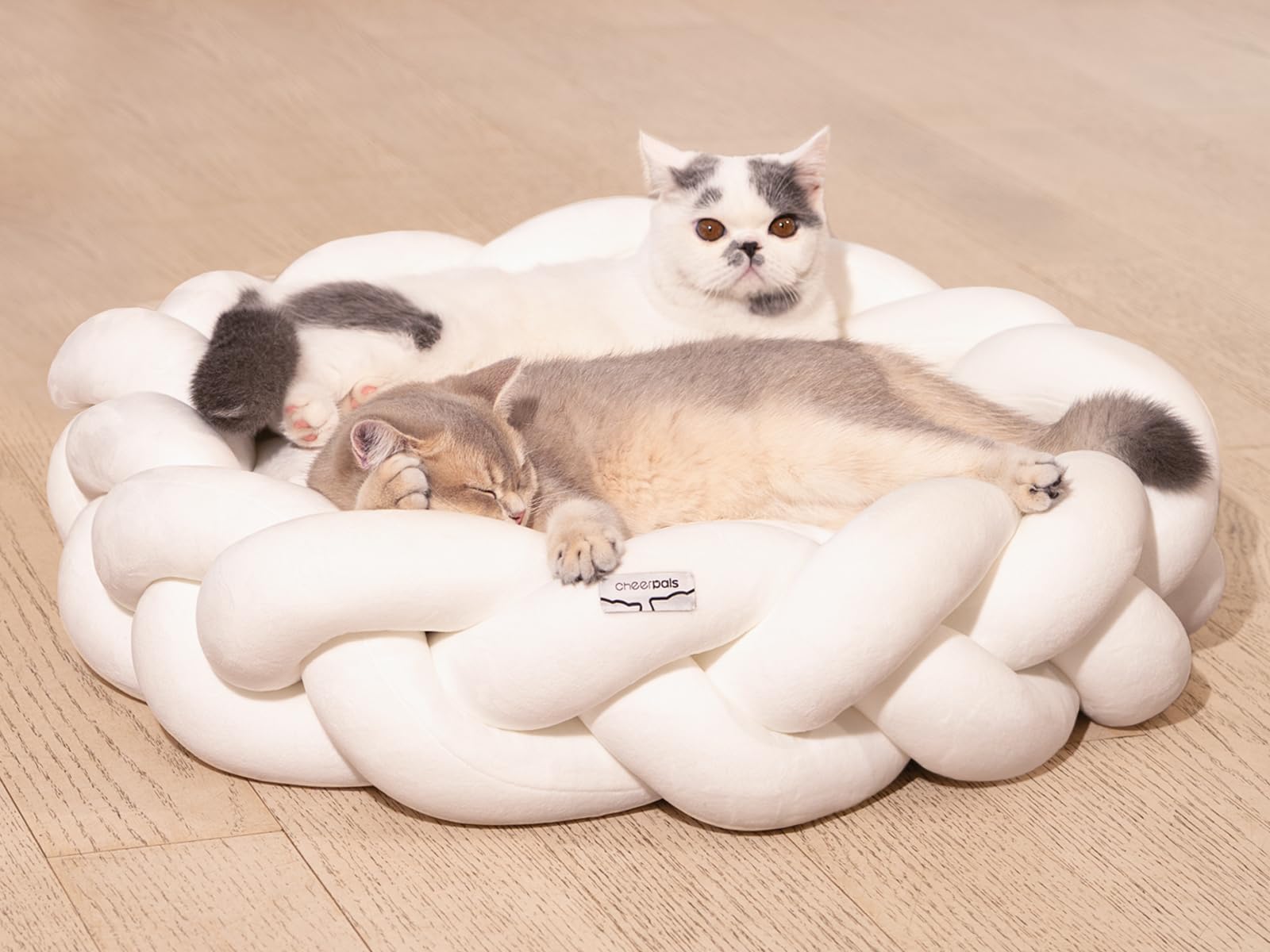 CheerPals Großes Katzenbett 60cm, Waschbar Geflochtenes Kuschelhöhle, Hundebett mit Hochelastischer Schlafkissen für Alle Katze und Kleine Hunde
