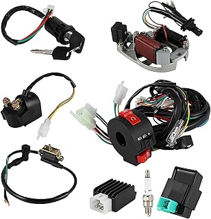 Electric Wiring Harness Relay Stator Coil CDI Solenoid Spark Plug for 49cc 50cc 70cc 80cc 90cc 100cc 110cc 125cc ATV Taotao Coolster 4 Wheeler Quad Go Kart KLX Pit Bike Scooter