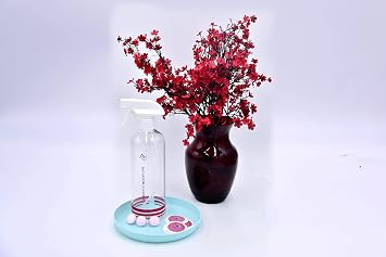 Bellezza Bottle Bathroom Cleaner Single Pack