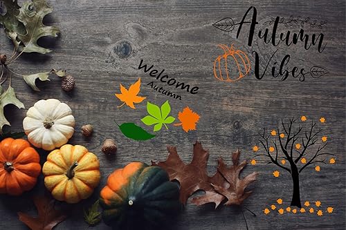 Miniatura 5 de 8 plantillas de Halloween para pintar en cajas de madera reutilizables, plantilla de esqueleto de bruja truco o trato para pintar la puerta del