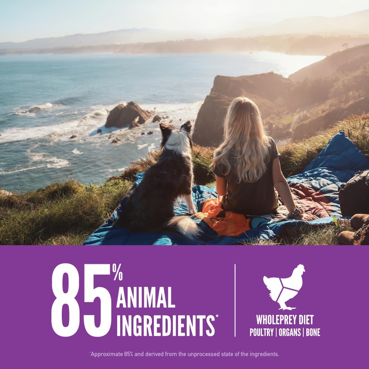 ORIJEN Grain Free High Protein Dry Dog Food Puppy Large Recipe 23.5lb Bag - Image 4