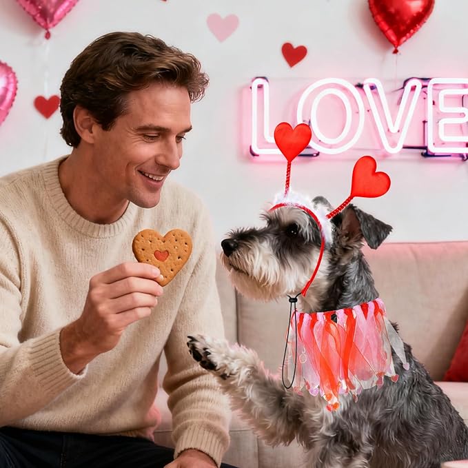 Disfraz para Perro Día de San Valentín 2 Piezas con Diadema y Collar de Corazón Rojo miniatura 4