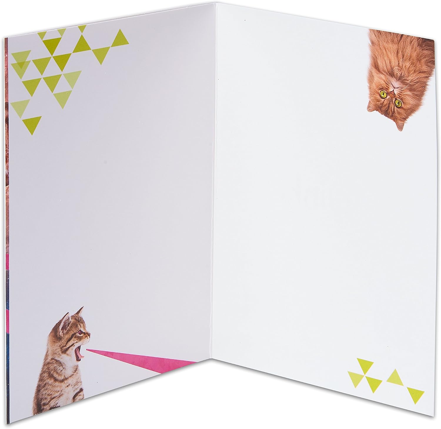 American Greetings Funny Blank Card (Outer Space Laser Cats)