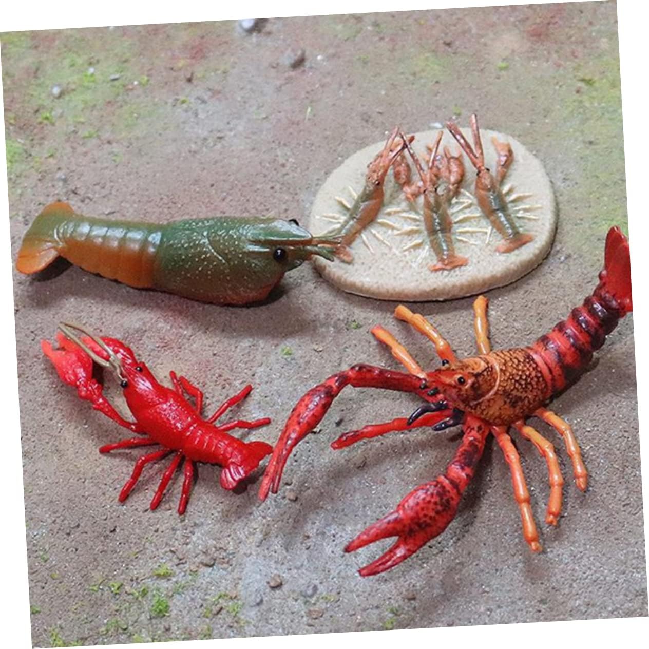 SUPVOX 1 Set Model Shrimp Funny Crayfish Animals Statues Lobster Animal Evolution Models Plastic Cognitive Crayfish Growing Cycle Plaything Red image 4