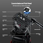 NEEWER Niveau de base 74" Trépied vidéo avec tête fluide, trépied caméra métallique avec amortisseur de friction lisse, épandeur de niveau intermédiaire, plaque de libération rapide compatible avec Manfrotto 501, Max Charger 17.6lb, TP37
