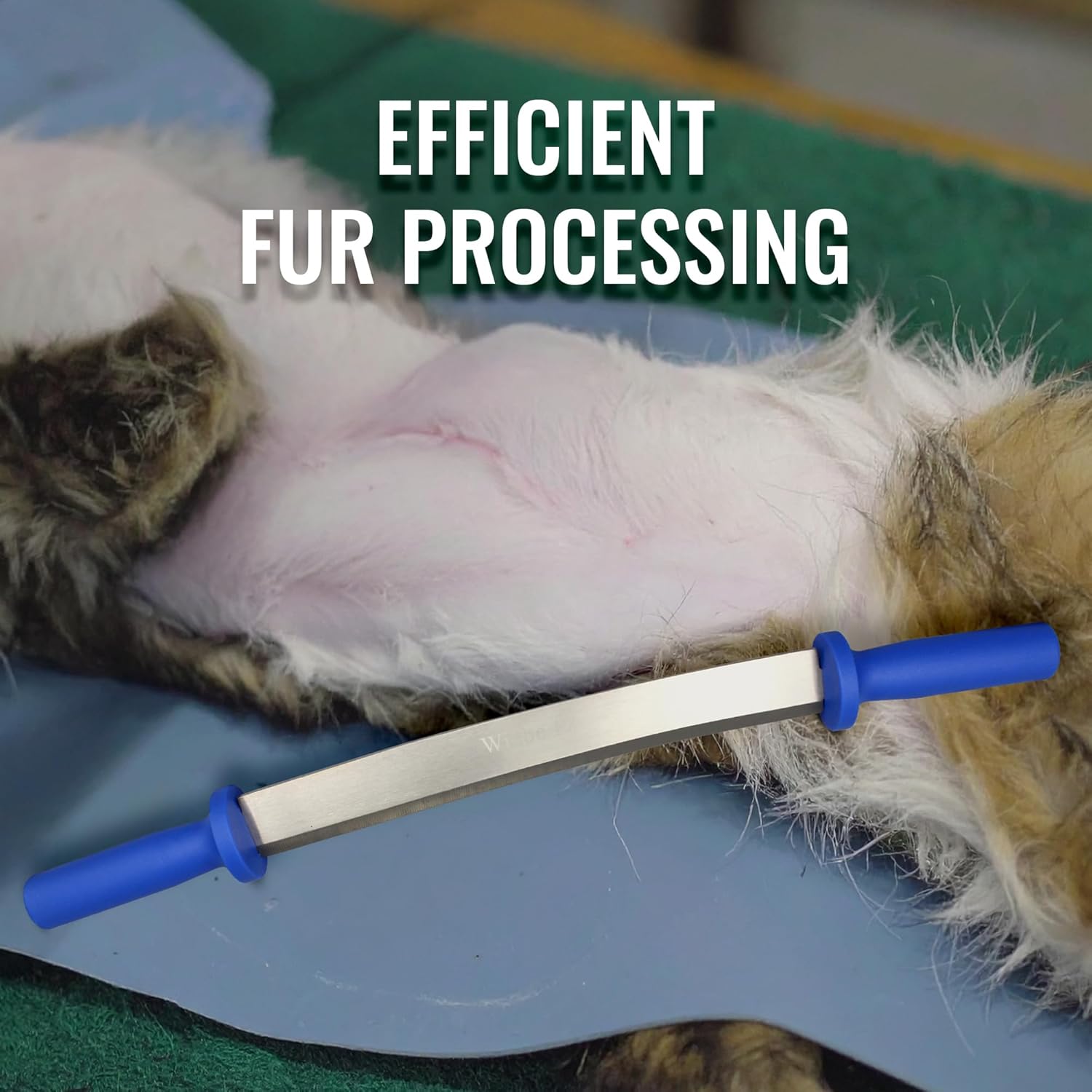 Wiebe 12" Dual Handle Fleshing and Skinning Knife – Professional Fur Handling Tool for Raccoon, Fox, Coyote Pelts – Stainless Steel