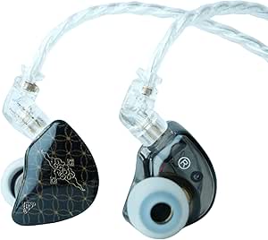 TANGZU Wan'er S.G in Ear Monitors Headphones, HiFi Wired Earbuds Earphones with 10mm PET Diaphragm Dynamic Driver, 0.78mm 2-Pin Detachable OFC Cable for Audiophile DJ Stage (Black with Mic)