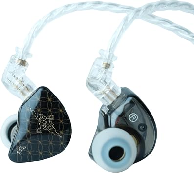 TANGZU Waner S.G in Ear Monitors Headphones, HiFi Wired Earbuds Earphones with 10mm PET Diaphragm Dynamic Driver, 0.78mm 2-Pin Detachable OFC Cable for Audiophile DJ Stage Black with Mic