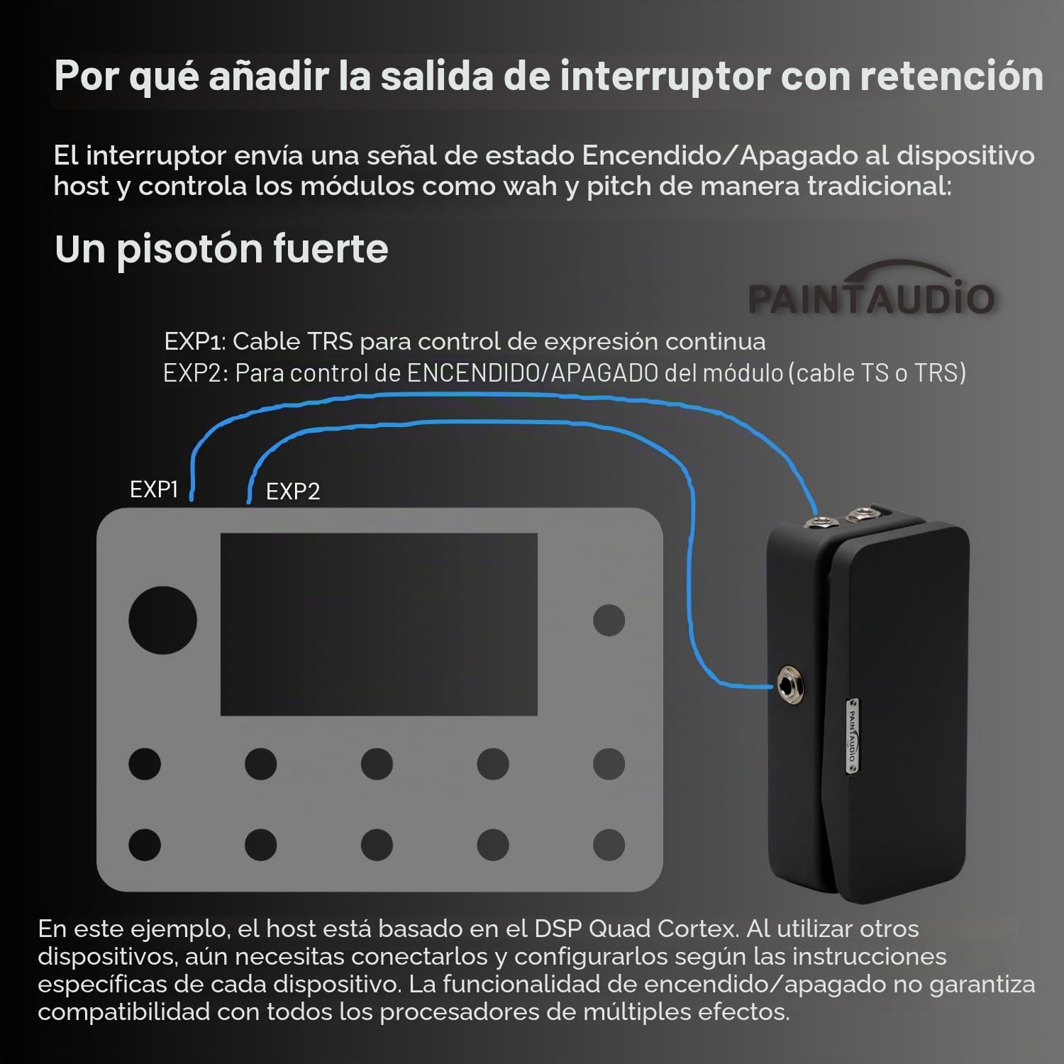 PAINTAUDIO Paint Audio Foot Captain - Pedal de expresión de doble salida multiefectos compatible con conexión de punta/anillo (Foot Captain-SWL)