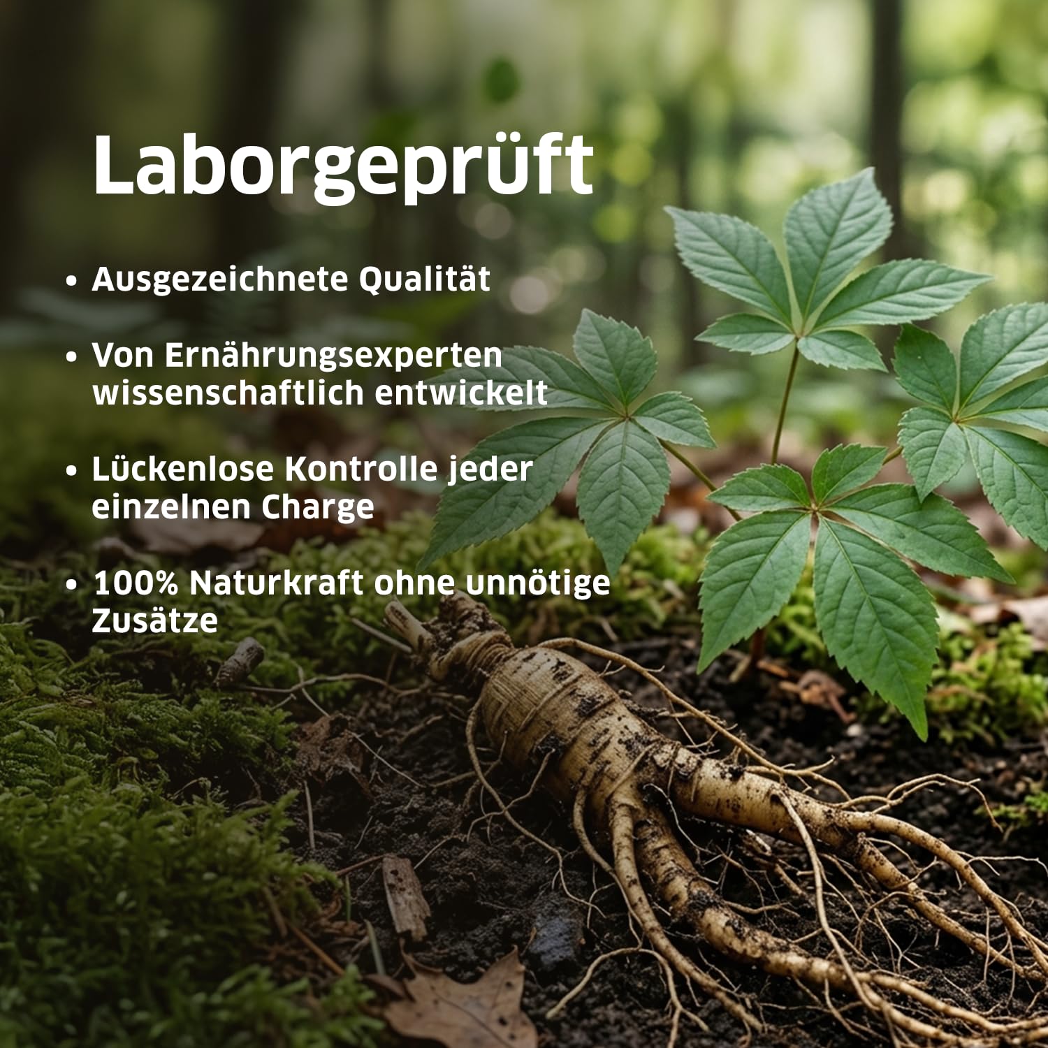 ORZAX Panax Ginseng C.A. Meyer – 1000mg Hochdosiert – 30% Ginsenoside – 120 Kapseln – Original Koreanischer Ginseng Wurzel-Extrakt – Vegan & Laborgeprüft