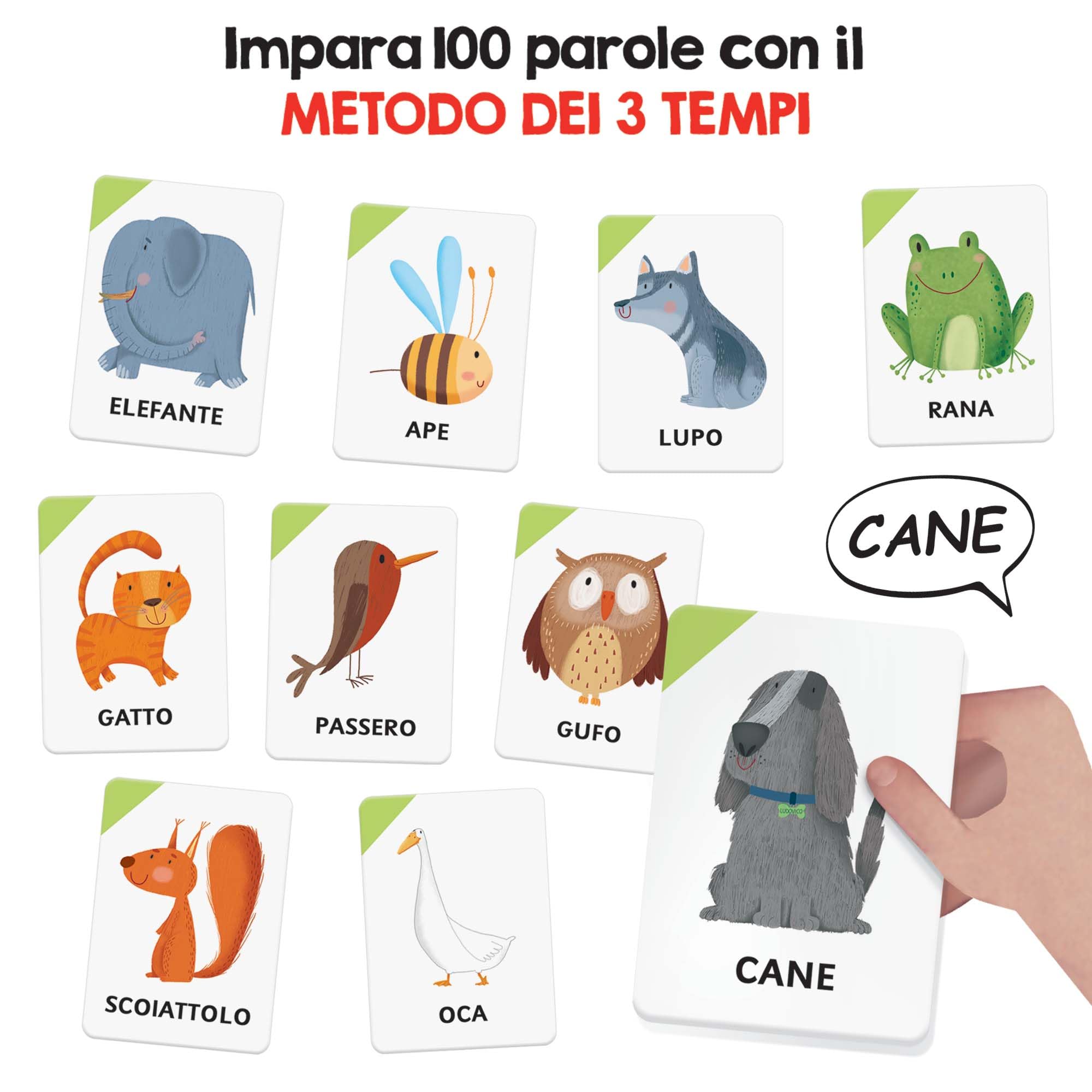HEADU - Il Cofanetto delle Flashcards 100 parole - La Più Ricca Raccolta di Flashcards Per Imparare le Prime Parole | Con App Interattiva, Gioco Educativo 2 3 4 Anni, Idea Regalo, Made in Italy