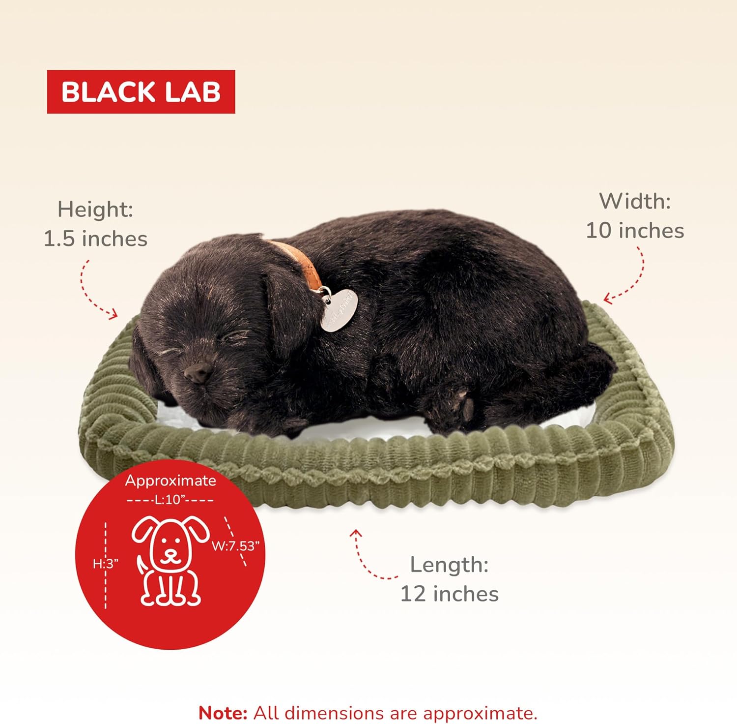 Perfect Petzzz - Original Petzzz Black Lab, Realistic, Lifelike Stuffed Interactive Pet Toy, Companion Pet Dog with 100% Handcrafted Synthetic Fur - Image 3