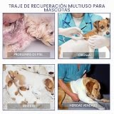 Ver la foto 7