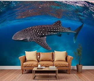 3D Wallpaper Incredible Photo Whale Shark Clearest Water imaginable Coral Reef Removable Waterproof Large Wall Mural Wall Background Decorative Decals Modern Decor Print Design(Not Self-Adhesive)