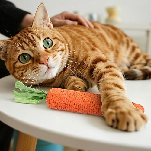 Miniatura 2 de 2 piezas de juguetes de dentición para gatos de interior, juguete masticable de sisal natural, juguetes de dentición de gato, zanahoria naranja,
