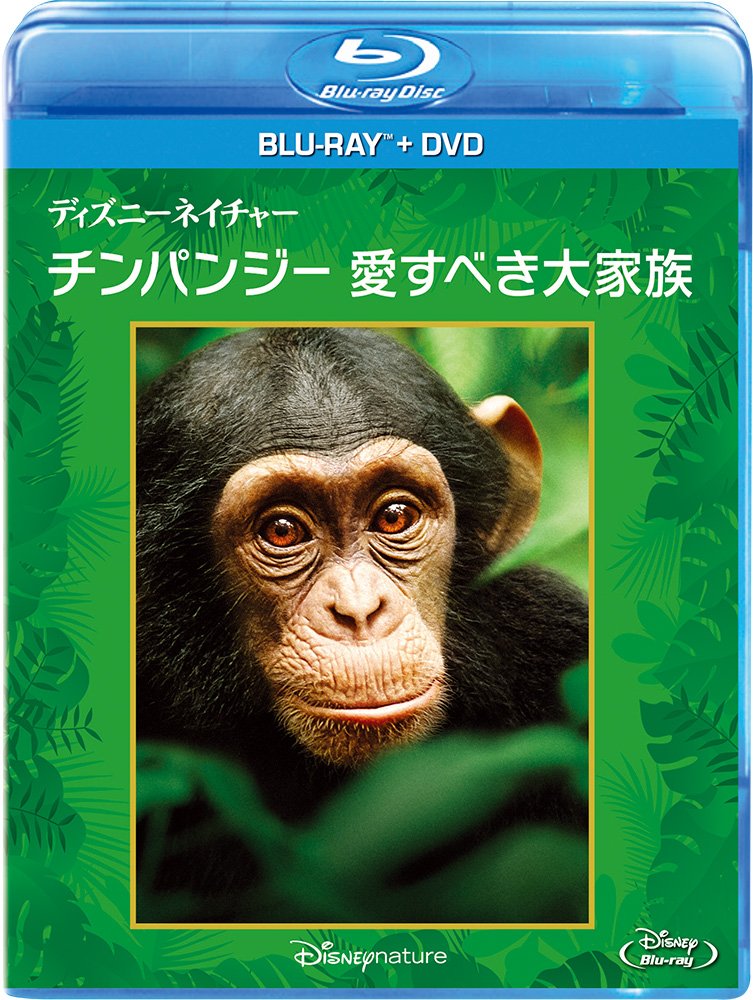Amazon.co.jp: ディズニーネイチャー/チンパンジー 愛すべき大家族