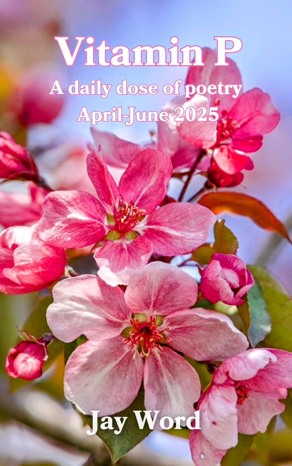 Vitamin P Book 2: A daily dose of poetry April-June 2025
