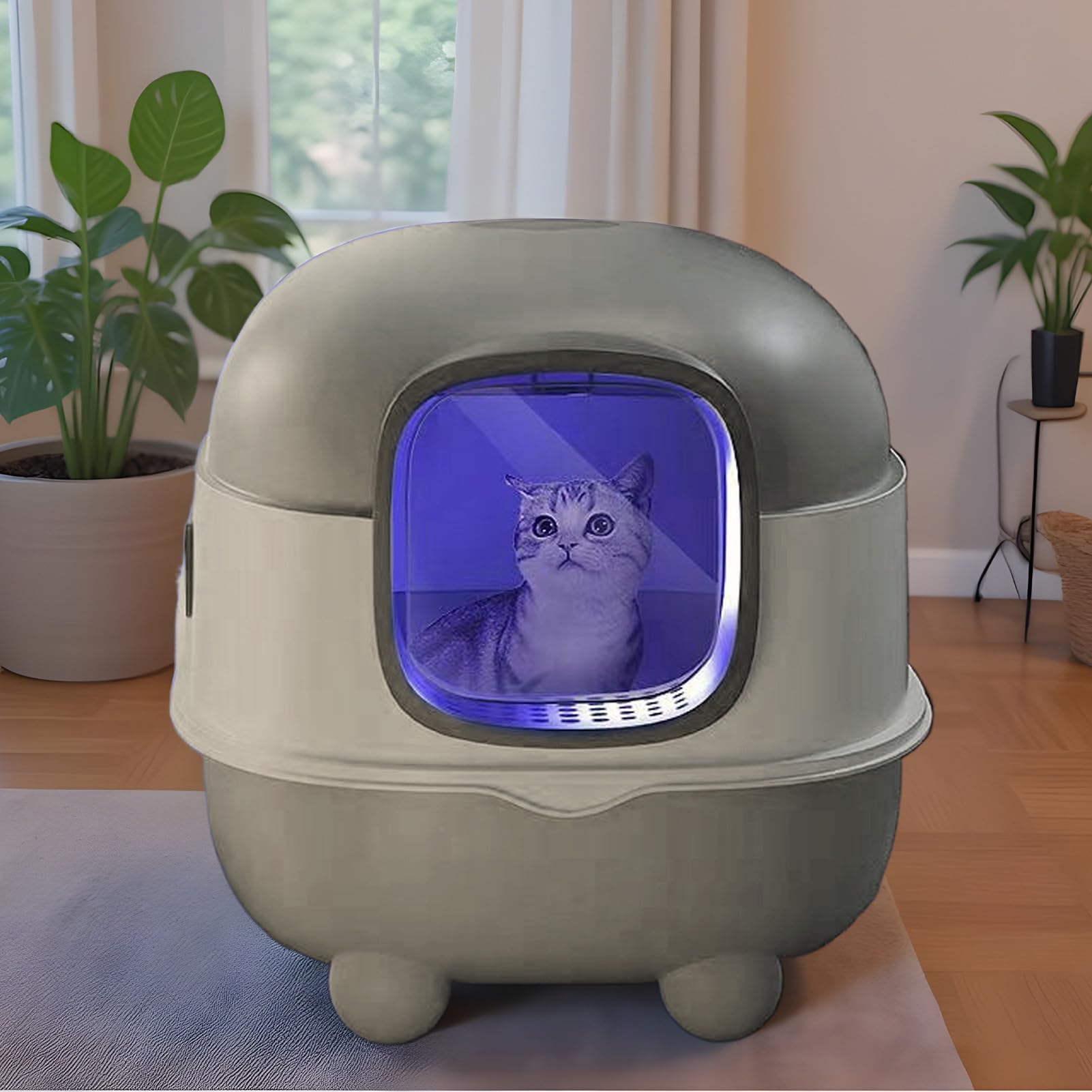 Katzentoilette Groß Offen - 22.05 Inches Katzenklo XXL | Offenes Katzen WC - Geräumige Katzentoilette Aus PP Mit Schaufel Und UV Hygiene Unterstützt Einfache Reinigung Und Saubere Umgebung