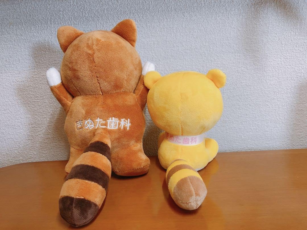 Amazon.co.jp: きぬた歯科 キャラクターぬいぐるみ きぬたぬき君