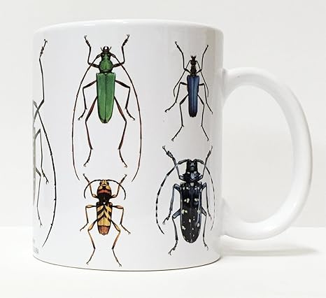 Amazon Co Jp 杉浦千里イラストマグカップ カミキリムシ9種 ホーム キッチン