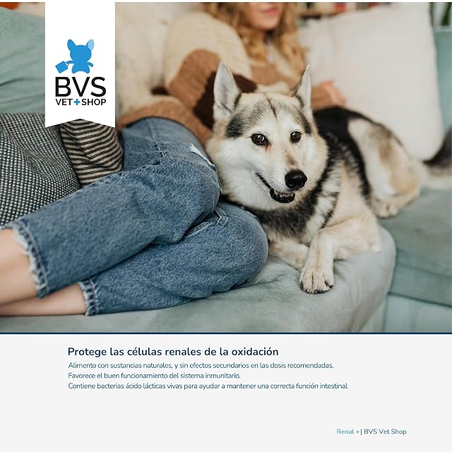 Foto 5 de 8 de BVS Vet Shop