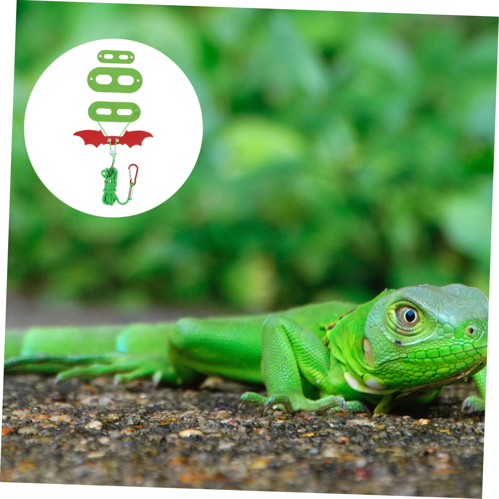 CIYODO Lizard Leash Set with Bat Wings Durable Reptile Harness for Pets Adorable Crawling Leash Costume Accessories for Daily Wear and Outdoor Adventures