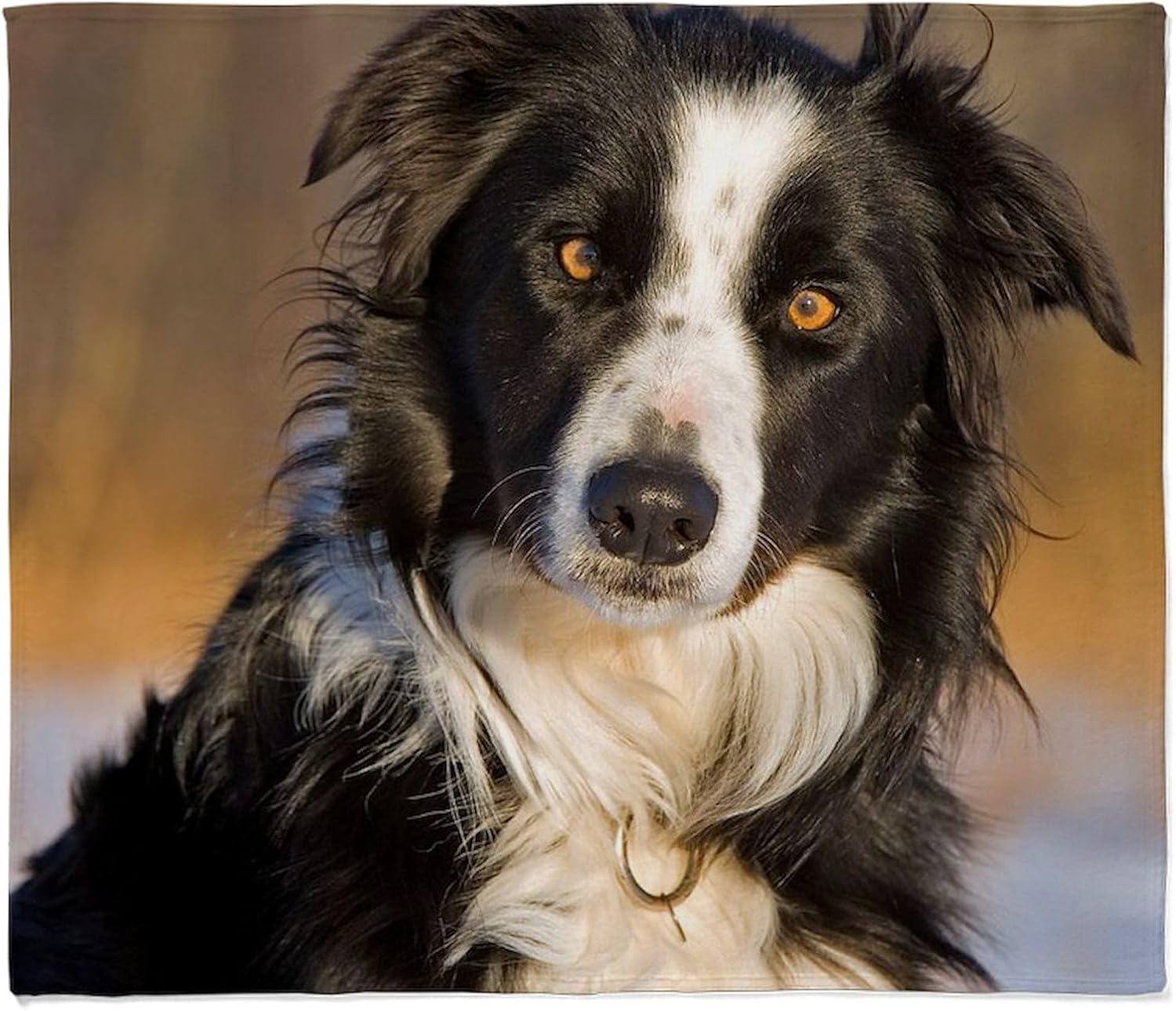 CafePress Border Collie 2 Throw Blanket Super Soft Fleece Plush Throw Blanket, 60"x50"