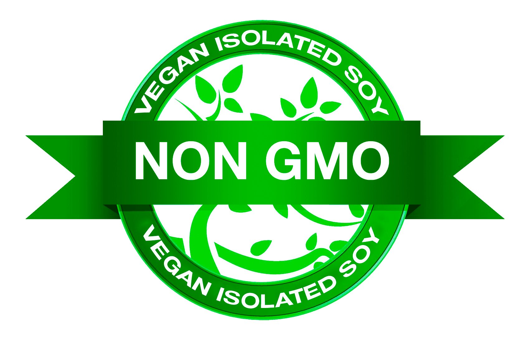 Veganes pflanzliches laktosefreies Proteinpulver, Eiweiss Protein Pulver Shake I ohne künstliche Süßungsmittel, Zucker I brauner Reis, Erbsen, Soja Isolat I 2kg natürliches Schweizer Schoko