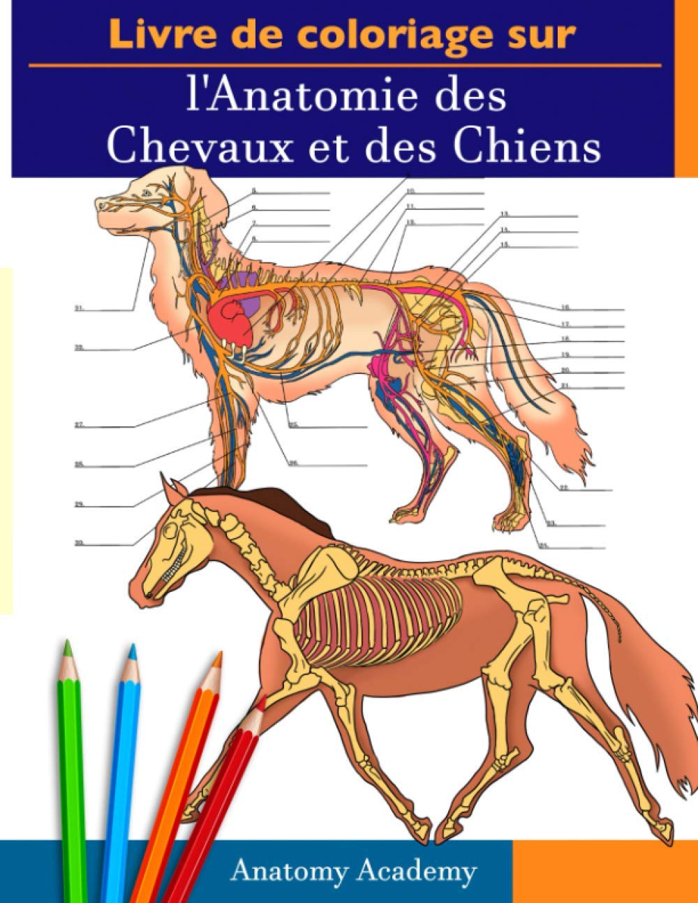 Livre de Coloriage sur l'Anatomie des Chevaux et des Chiens: 2-en-1 Compilation | L'Anatomie équine et Canine Incroyablement Détaillé | Cadeau Parfait ... les Amoureux des Animaux et les Adult